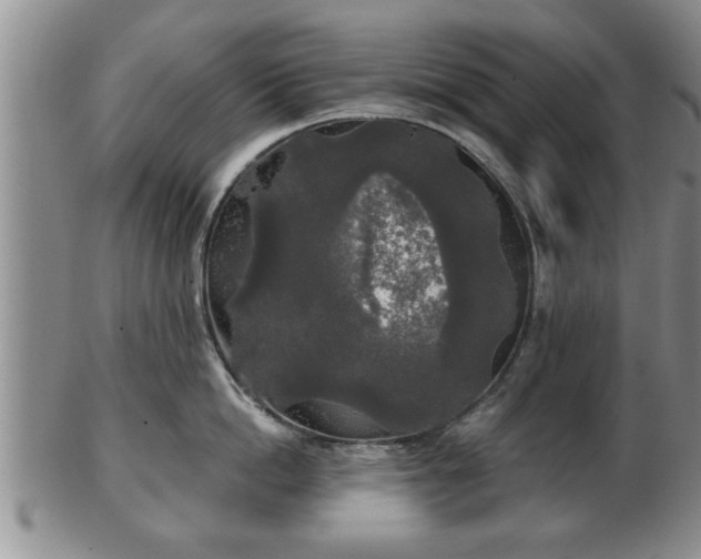 X0000103220862200809041001