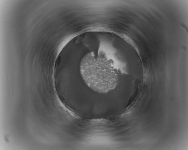 X0000103220863200809041001