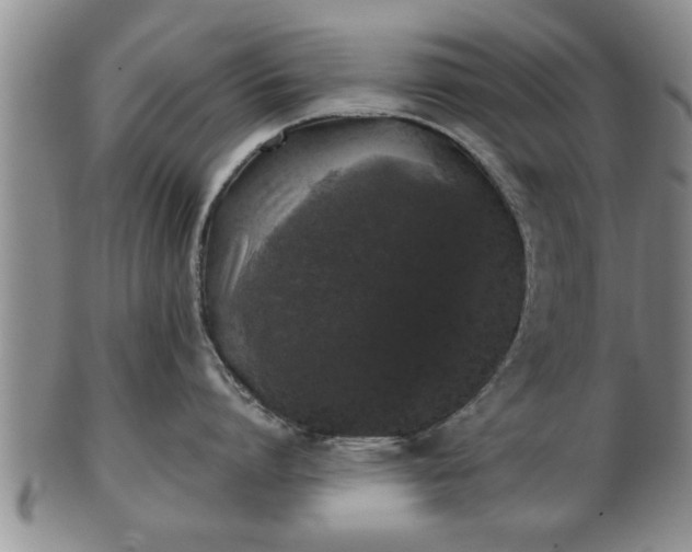 X0000103220864200809041001