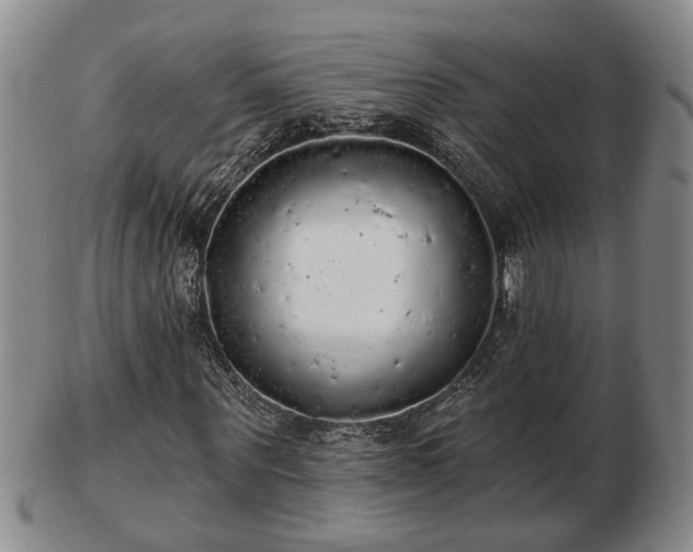 X0000103220867200809041000