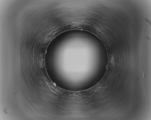 X0000103220868200809041000