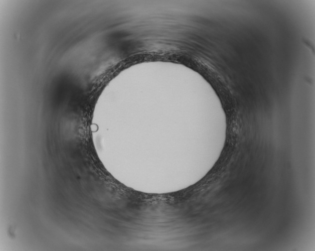 X0000103220869200809041000