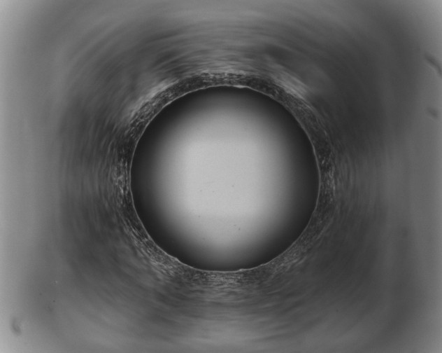 X0000103220870200809041000