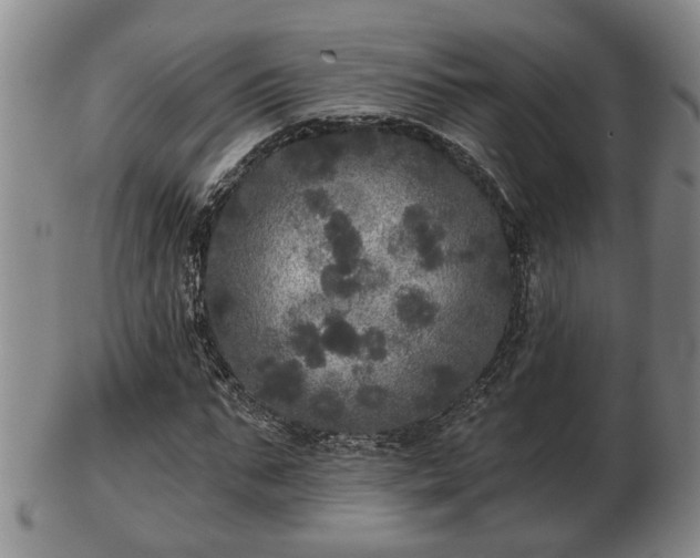 X0000103220871200809041000