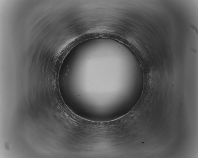 X0000103220872200809041000