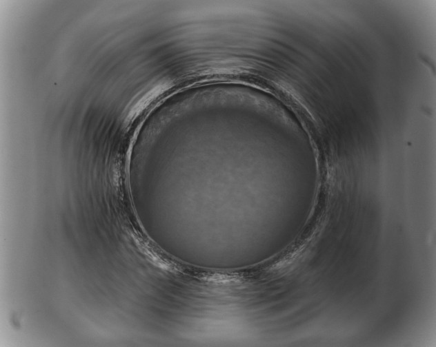 X0000103220874200809041000