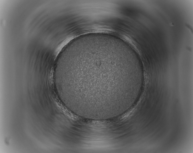 X0000103220875200809041000