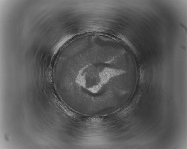 X0000103220878200809041000