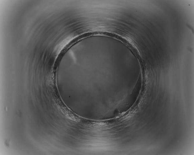 X0000103220879200809041000