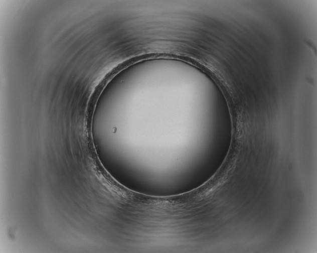 X0000103220880200809041000