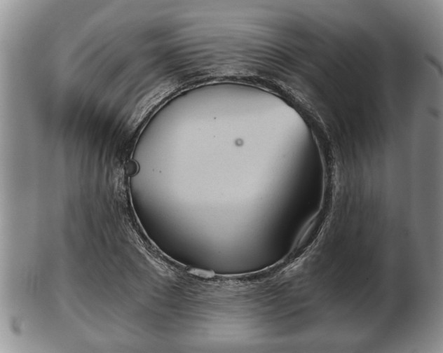 X0000103220881200809041000