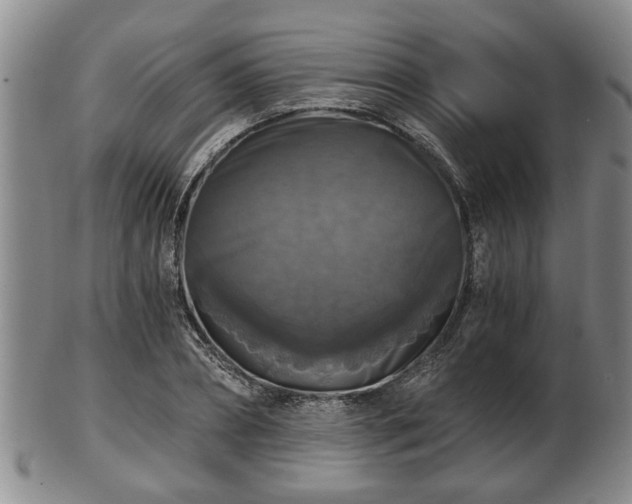 X0000103220882200809041000