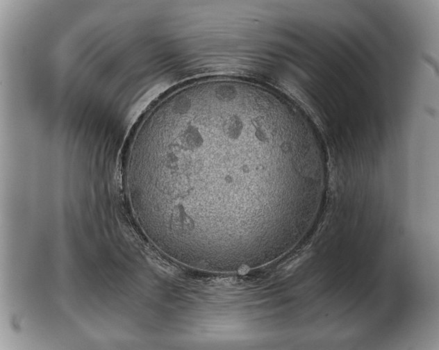 X0000103220883200809041000