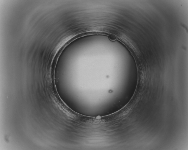 X0000103220884200809041000