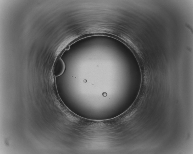 X0000103220885200809041000