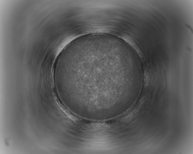 X0000103220886200809041000