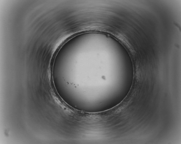 X0000103220888200809041000