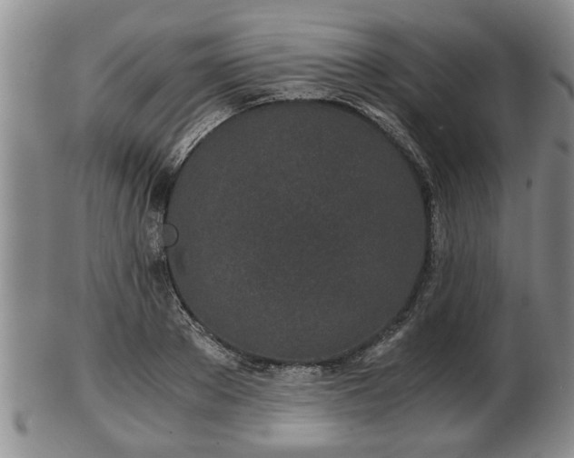 X0000103220889200809041000