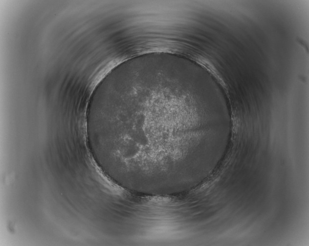 X0000103220890200809041000