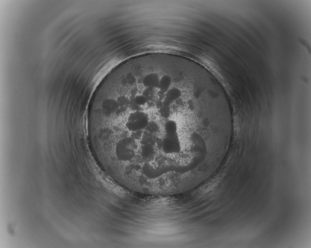 X0000103220891200809041000