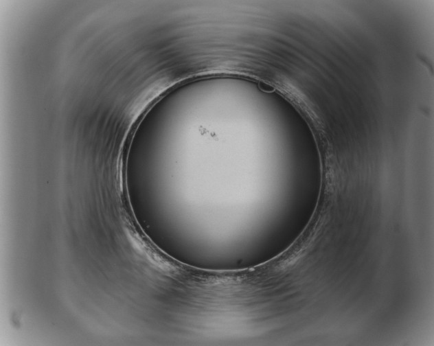 X0000103220892200809041000