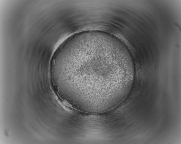 X0000103220894200809041000