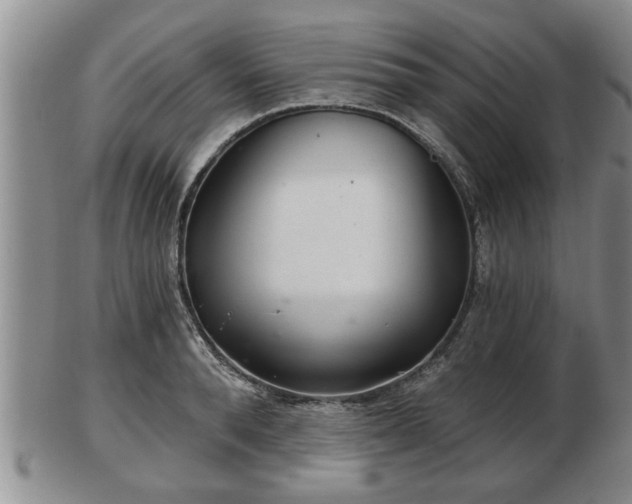 X0000103220896200809041000