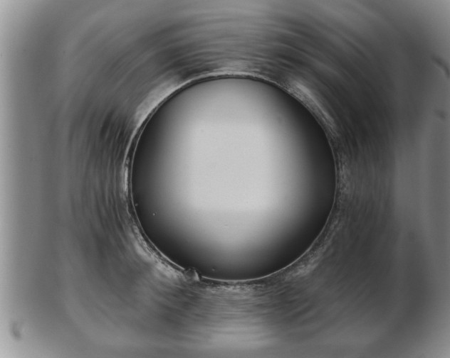 X0000103220900200809041000