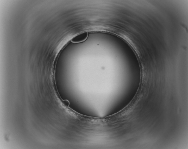 X0000103220901200809041000