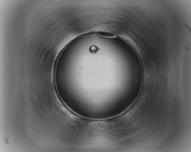 X0000103220902200809041000