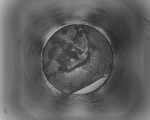 X0000103220903200809041000