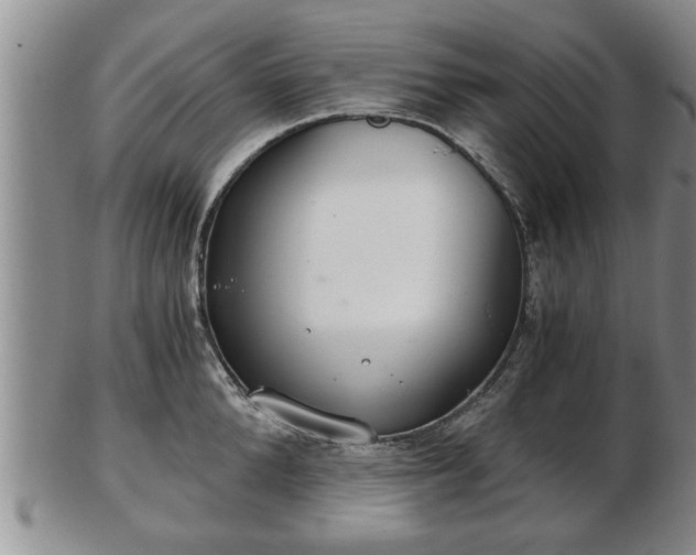 X0000103220904200809041000