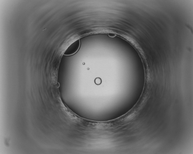 X0000103220905200809041000