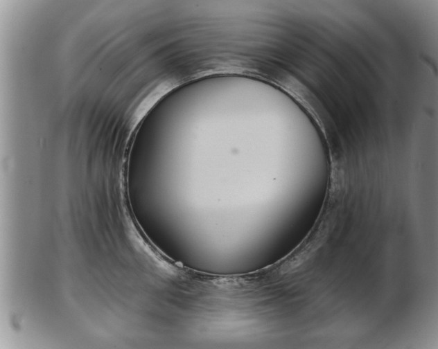 X0000103220906200809041000