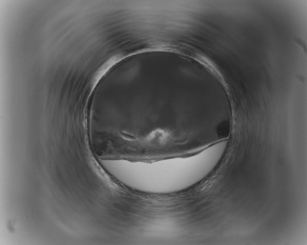 X0000103220907200809041000