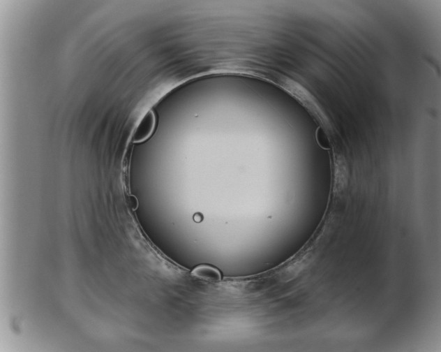 X0000103220908200809041000