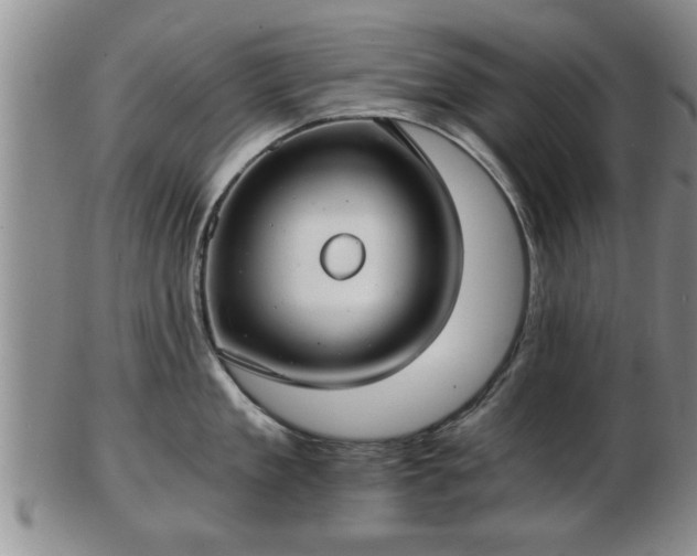 X0000103220909200809041000