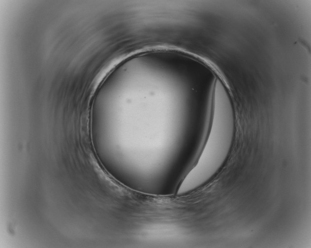 X0000103220911200809041000