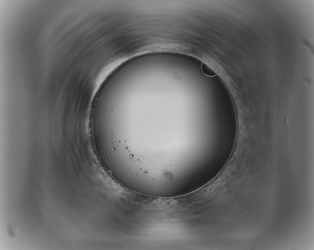 X0000103220912200809041000