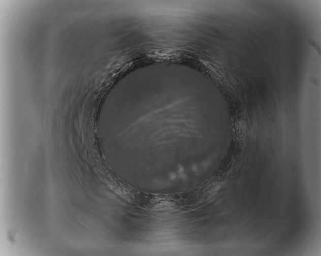 X0000103220913200809040959