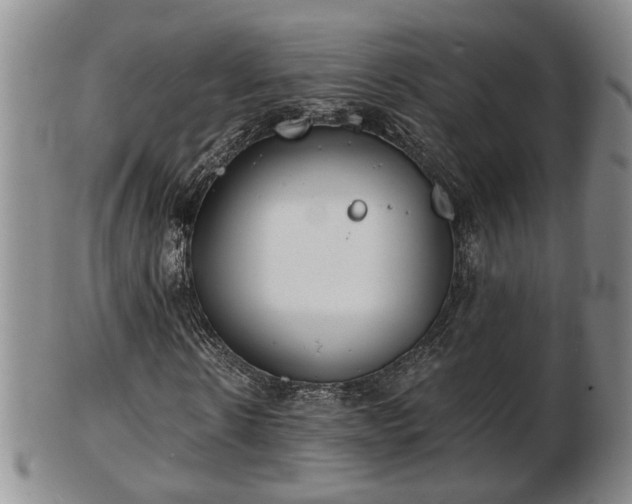 X0000103220914200809040959