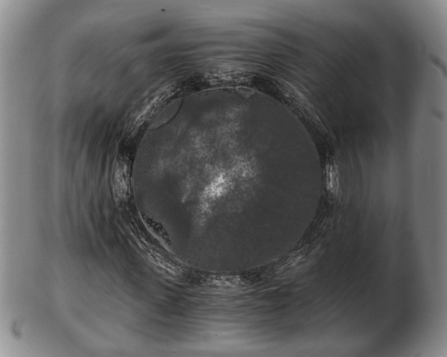 X0000103220915200809040959