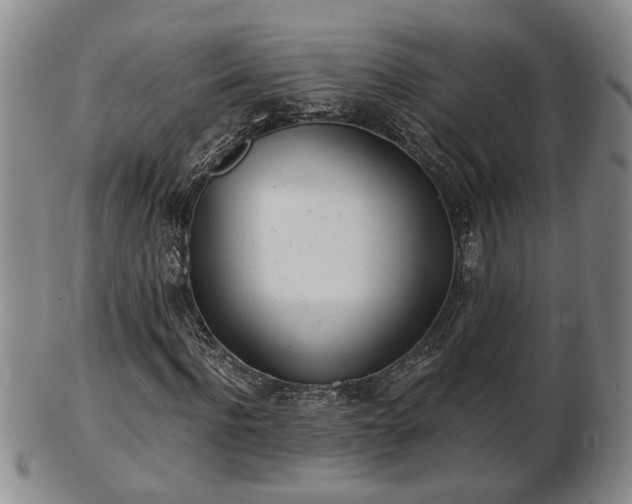 X0000103220916200809040959