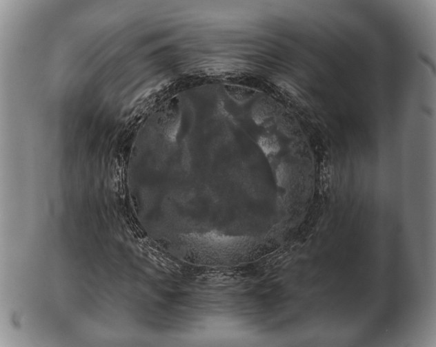 X0000103220917200809040959