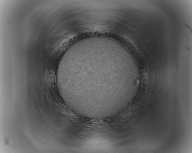 X0000103220918200809040959