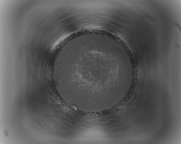 X0000103220919200809040959