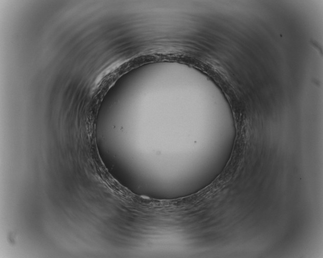 X0000103220920200809040959