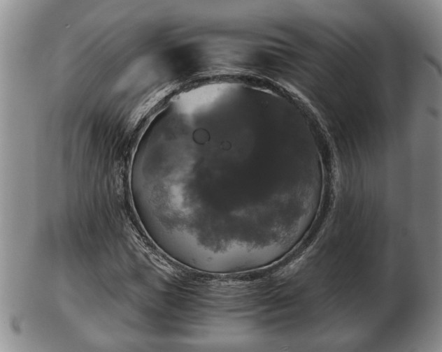 X0000103220921200809040959