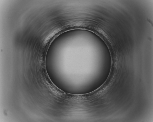 X0000103220922200809040959