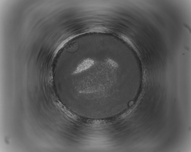 X0000103220923200809040959